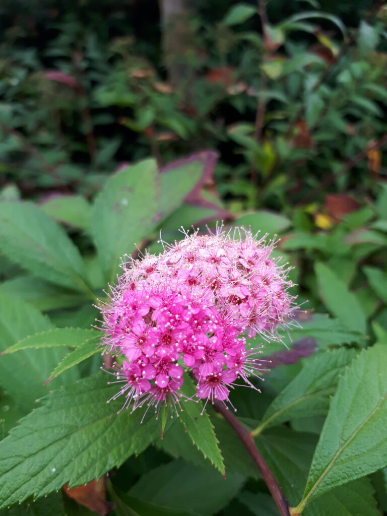 124