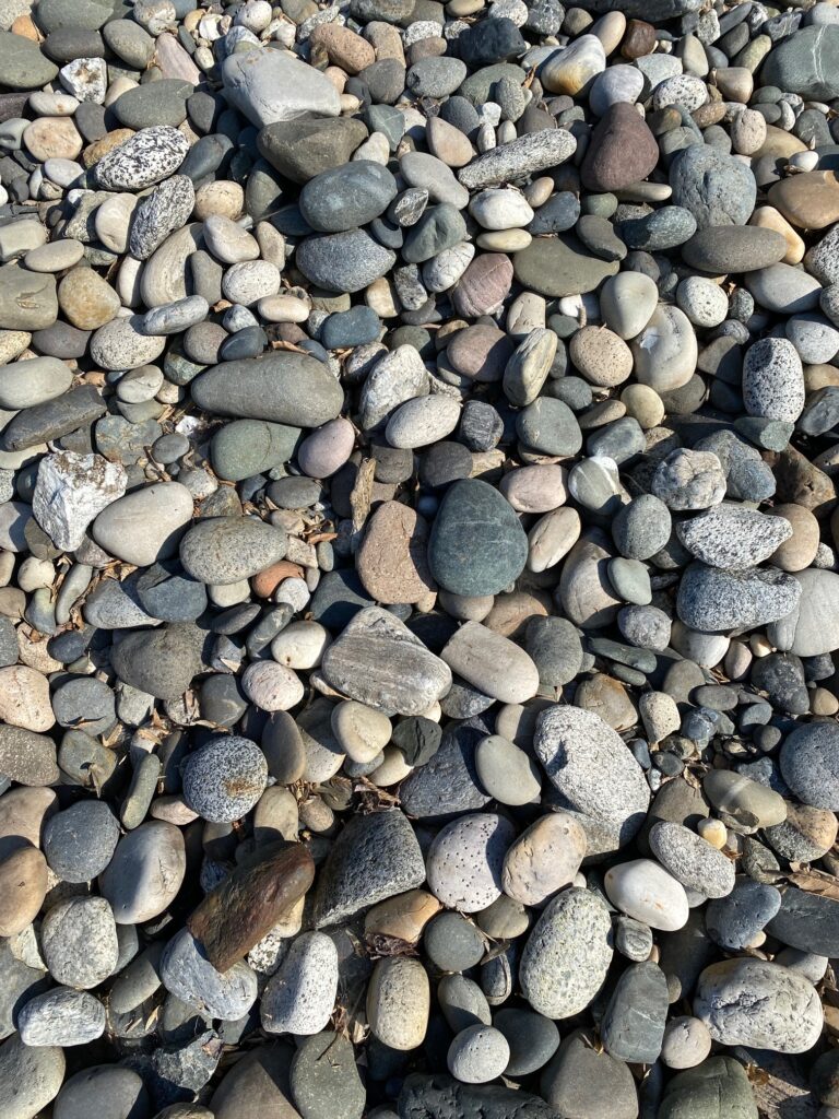 164