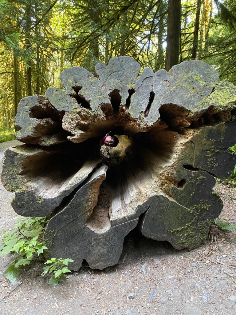342