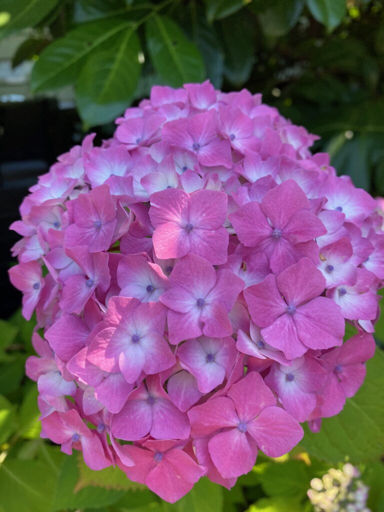 72