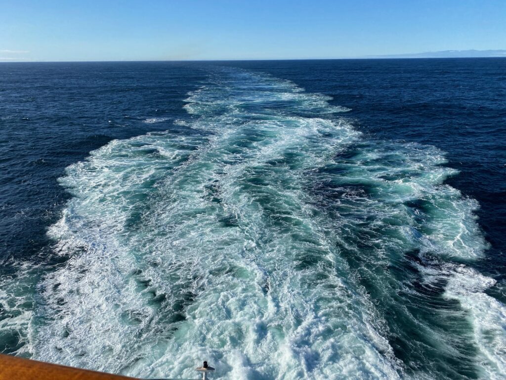 Blog # 10
