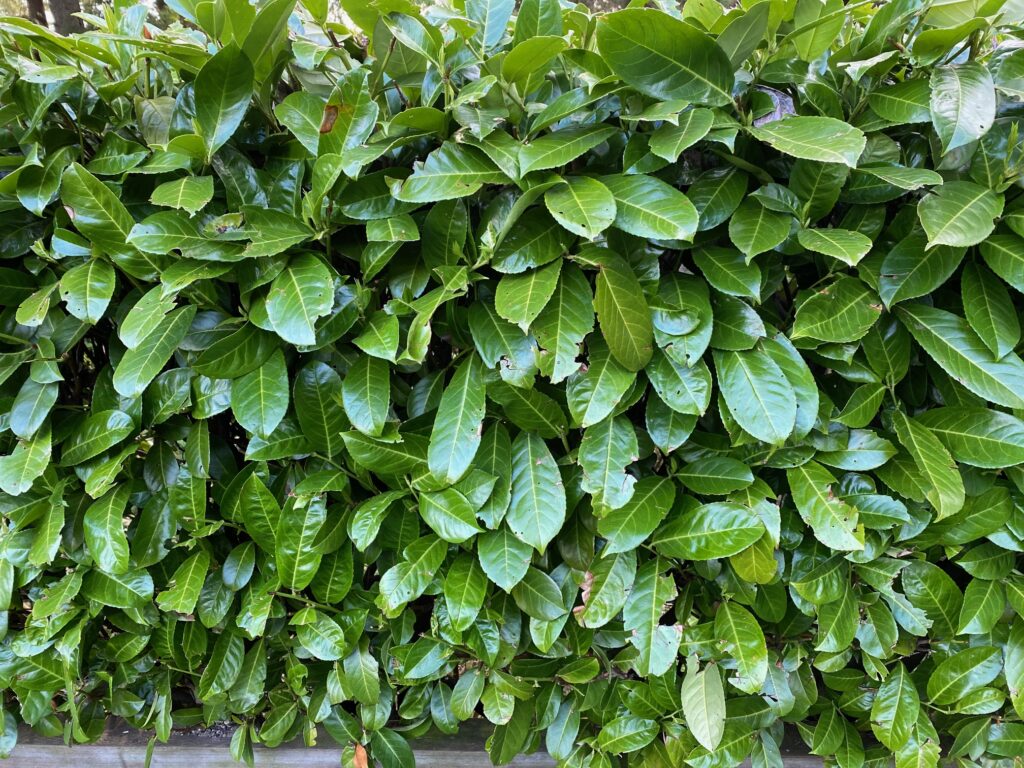 Blog #9